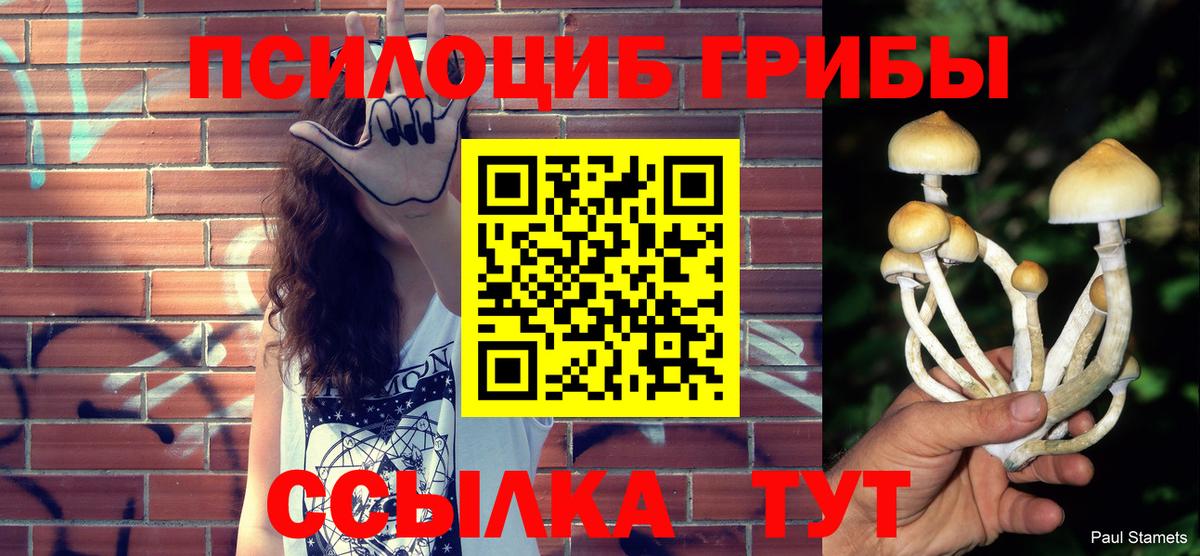 наркотики  Псилоцибиновые грибы Psilocybe  Вход с VPN  Ефремов 