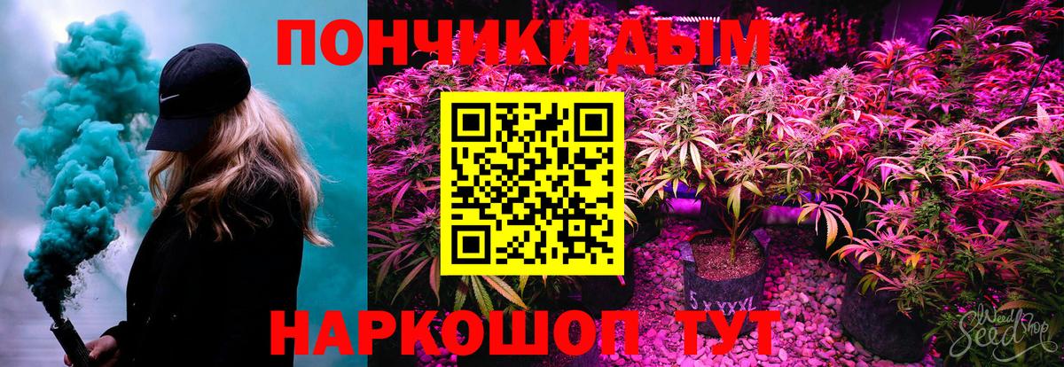 МАРИХУАНА ГИДРОПОН Ефремов